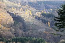 Ungeheuer Loch-In der Löbertsgrube - Am Volkershain - Vor der großen Puderburg - vor den Kurven zum Didoll