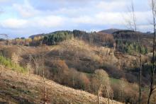 Ungeheuer Loch-In der Löbertsgrube - Am Volkershain - Vor der großen Puderburg - vor den Kurven zum Didoll