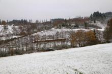 Oberhalb In der Rundwies und Vorn neben der Rundwies - westlich Puderbach