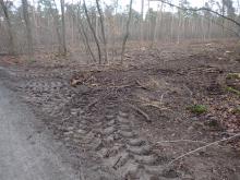 Wegeschäden an Kahlschlagfläche an Kastanienallee. Bild vom 19.12.20