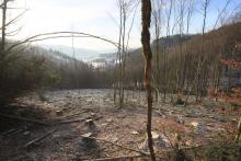 Unterhalb von Wanderweg A1 - oberhalb &quot;Vor der Weidetal&quot; - nördlich Puderbach