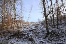 von Wegespinne auf Wanderweg L4 - zwischen Neesbach und Dreisbachs Seite