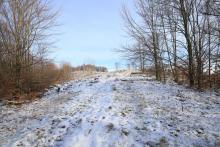 Von der Wegespinne bis zum Wanderweg L4 - unbenannter Berghang