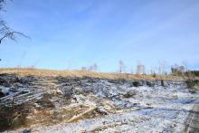 Von der Wegespinne bis zum Wanderweg L4 - unbenannter Berghang