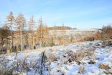 Von der Wegespinne bis zum Wanderweg L4 - unbenannter Berghang