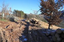 Weg zwischen Schorrweg und Eichhecke - Puderbach S/W