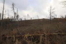 Eiderstal - vor Lehmbergsköpfchen - Bad Laasphe - Süd 1