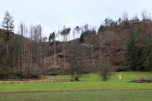 Auf und am Lehmbergköpchen - Bad Laasphe - Süd 2 - Werner-Schmidt-Weg