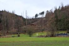 Auf und am Lehmbergköpchen - Bad Laasphe - Süd 2 - Werner-Schmidt-Weg