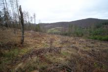 Puderburg - nördlich - NRW und Hessen - Landschaftsschutzgebiet NRW - FFH Hessen