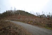 Puderburg - nördlich - NRW und Hessen - Landschaftsschutzgebiet NRW - FFH Hessen