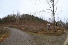 Puderburg - nördlich - NRW und Hessen - Landschaftsschutzgebiet NRW - FFH Hessen