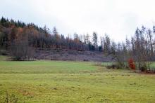 Zwischen Steinfeld und Kleine Buhl - Nähe &quot;Auf dem Steinchen&quot; - Bad Laasphe - Süd 4