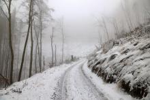 N_W der Puderburg - Hessen - 4.12.2022