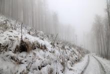 N_W der Puderburg - Hessen - 4.12.2022