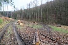 NSG Kirschwiesental  - Landschaftsschutzgebiet - gegenüber &quot;Gegen der Kirschwiese&quot;