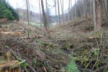 NSG Kirschwiesental  - Landschaftsschutzgebiet - gegenüber &quot;Gegen der Kirschwiese&quot;