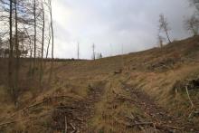 Wanderweg L4 - unterhalb Dreisbachs Seite - unterhalb Neesbachs faule Seite - östlich Obernberg - Bad Laasphe - Nord 2