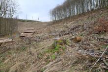 Wanderweg L4 - unterhalb Dreisbachs Seite - unterhalb Neesbachs faule Seite - östlich Obernberg - Bad Laasphe - Nord 2