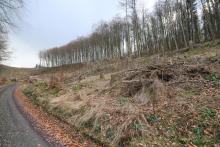 Wanderweg L4 - unterhalb Dreisbachs Seite - unterhalb Neesbachs faule Seite - östlich Obernberg - Bad Laasphe - Nord 2