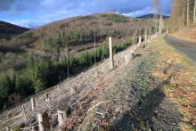 Talwärts, westlich Obernberg - oberhalb Wanderweg L4 - oberhalb &quot;Unterm Obernberg&quot; - Bad Laasphe - Nord 3