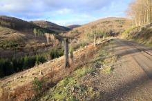Talwärts, westlich Obernberg - oberhalb Wanderweg L4 - oberhalb &quot;Unterm Obernberg&quot; - Bad Laasphe - Nord 3
