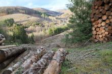 Talwärts, westlich Obernberg - oberhalb Wanderweg L4 - oberhalb &quot;Unterm Obernberg&quot; - Bad Laasphe - Nord 3