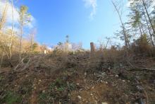 Unterm Obernberg - bergwärts - westlich - Bad Laasphe-Nord 6