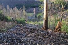 Unterm Obernberg - westlich - Kapp - Bad Laasphe-Nord 5