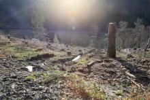 Unterm Obernberg - westlich - Kapp - Bad Laasphe-Nord 5