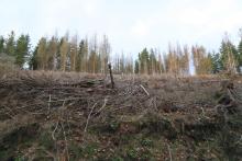 zwischen &quot;Aufm Obernberg&quot; und &quot;Unterm Obernberg&quot; - oberhalb Weisbach - S/W Obernberg