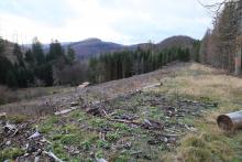 zwischen &quot;Aufm Obernberg&quot; und &quot;Unterm Obernberg&quot; - oberhalb Weisbach - S/W Obernberg