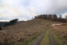 Welsbachsboden und Aufm Obernberg - S/O Obernberg - Bad Laasphe-Nord 8