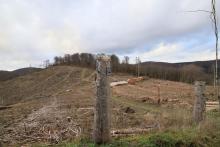 Welsbachsboden und Aufm Obernberg - S/O Obernberg - Bad Laasphe-Nord 8