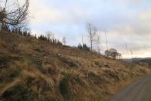 Hang aufwärts Faule Seite - Weg oberhalb Wanderweg L4 - Richtung Butzeberg