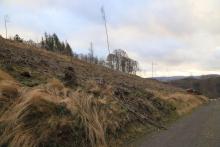 Hang aufwärts Faule Seite - Weg oberhalb Wanderweg L4 - Richtung Butzeberg