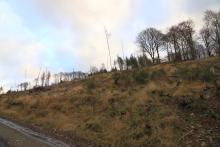 Hang aufwärts Faule Seite - Weg oberhalb Wanderweg L4 - Richtung Butzeberg