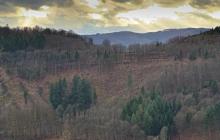 NSG - FFH - Landschaftsschutzgebiet - unterhalb &quot;Gebrannte Köpfchen&quot; und &quot;Altenburg&quot; oberhalb der Wiese an der L718