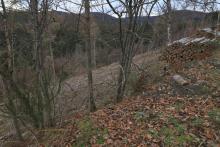 Hang abwärts Faule Seite - nördlich Butzeberg - Bad Laasphe-Nord 10