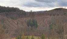 NSG - FFH - Landschaftsschutzgebiet - unterhalb &quot;Gebrannte Köpfchen&quot; und &quot;Altenburg&quot; oberhalb der Wiese an der L718