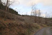 Butzeberg Süd - Hang aufwärts - oberhalb &quot;Butzebach&quot; - unterhalb &quot;Auf dem Butzenbach&quot; - am Wanderweg L4