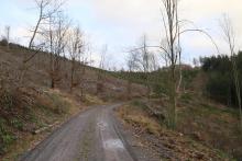 Butzeberg Süd - Hang aufwärts - oberhalb &quot;Butzebach&quot; - unterhalb &quot;Auf dem Butzenbach&quot; - am Wanderweg L4