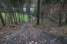 Hang abwärts - S_W Weibersberg - unterhalb Wanderweg L4