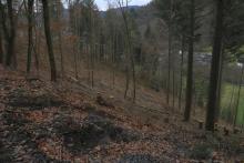 Hang abwärts - S_W Weibersberg - unterhalb Wanderweg L4