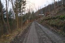 S-W Weibersberg - Hang aufwärts - oberhalb Wanderweg L4