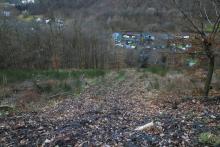 Hang abwärts - S_W Weibersberg - unterhalb Wanderweg L4