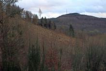 Wanderweg X15 und W vom Wanderweg L4 - S/W vom &quot;Aufm Fangsboden&quot; - westlich &quot;Fang&quot; 466 m