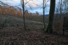 unterhalb und westlich Krautkopf - Hang parallel zum Wanderweg X15/W