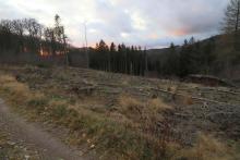 zwischen N_O Weibersberg und N_W Krautkopf - Richtung Neuntel - linker Hand - am Wanderweg X15/W