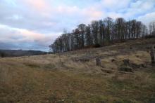 N Krautkopf - Richtung Neuntel - am Wanderweg X15/W